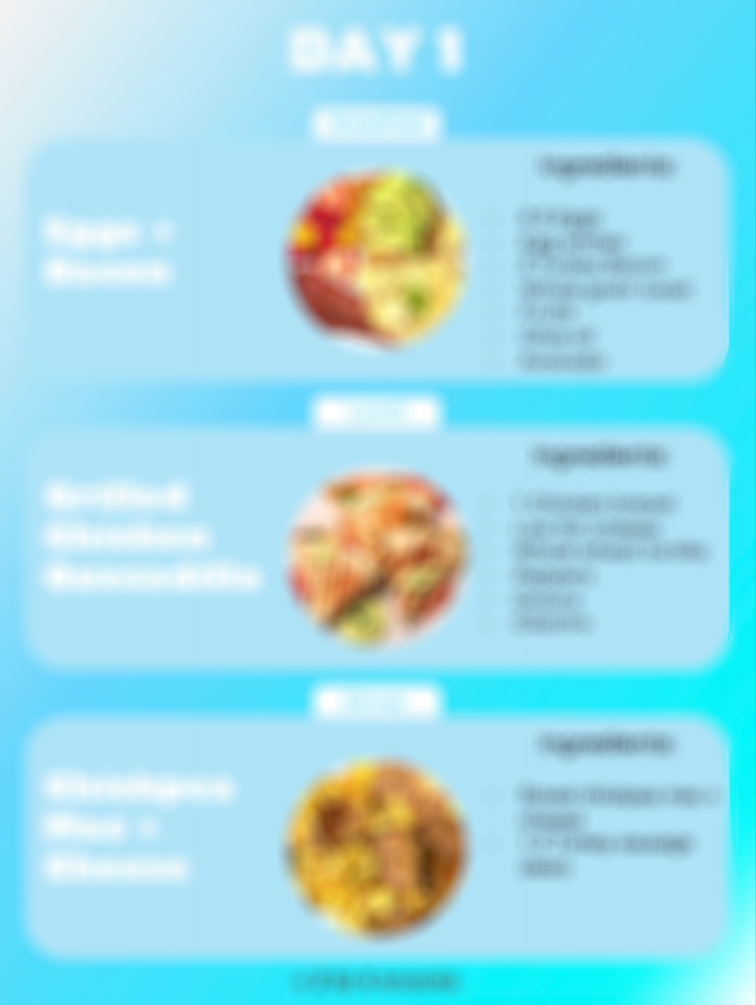 Meal Plan High Protein Snacks and Meals