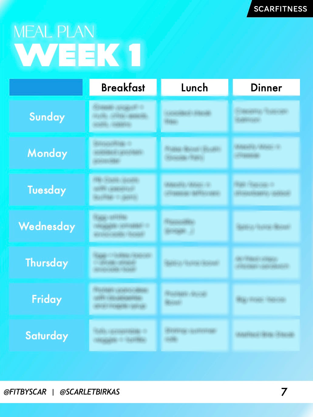 Meal Plan High Protein Snacks and Meals